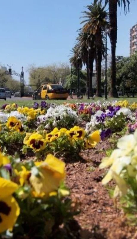 505b3dc3344ca_896_607!