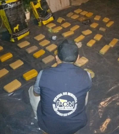 marihuana-ladrillos-droga-las-heras-mendoza-policiales-narcos