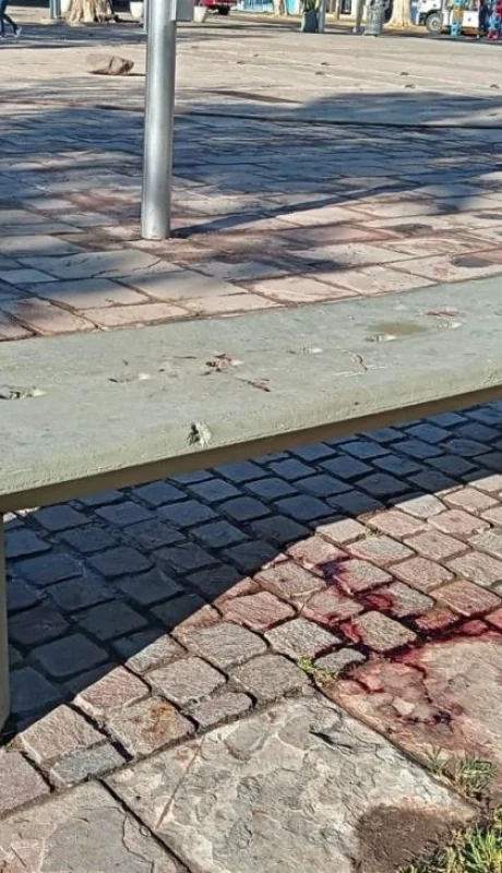 WhatsApp-Image-2021-10-13-at-08.54.06