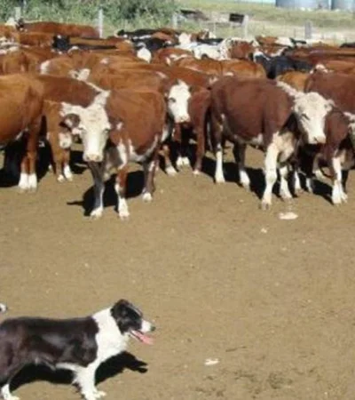 N3RWWV6P6RF4PHTGADH3WYSDDM