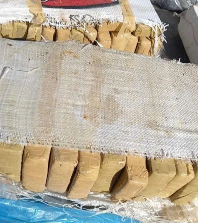 c01cee1d-ca9e-4250-9f24-9497313c249c