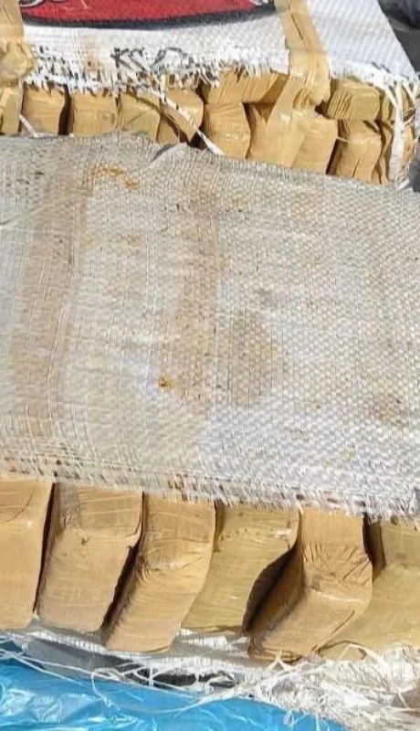 c01cee1d-ca9e-4250-9f24-9497313c249c