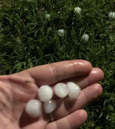 WhatsApp-Image-2021-10-13-at-09.06.41