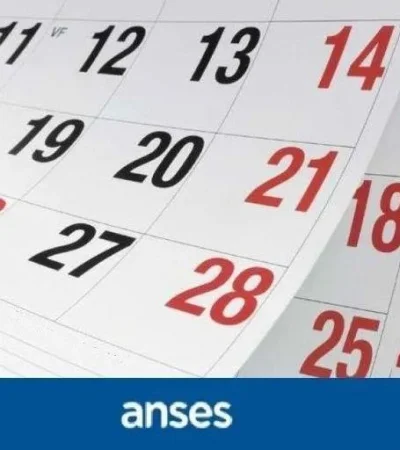 cronograma-anses-enero