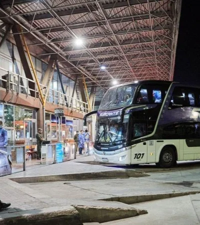 Micros-internacionales