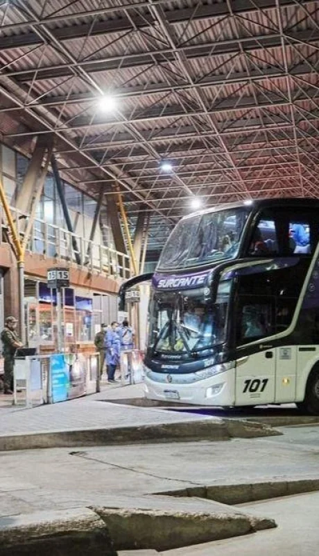 Micros-internacionales