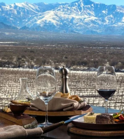 gastronomicos-emergencia-ley-argentina-informe-2