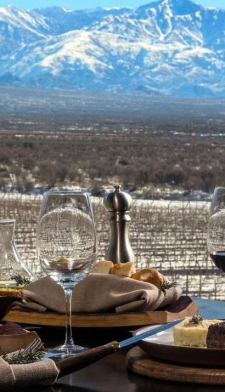 gastronomicos-emergencia-ley-argentina-informe-2