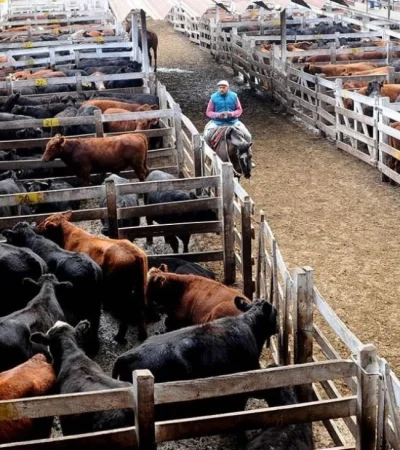 WhatsApp-Image-2021-11-18-at-18.24.48