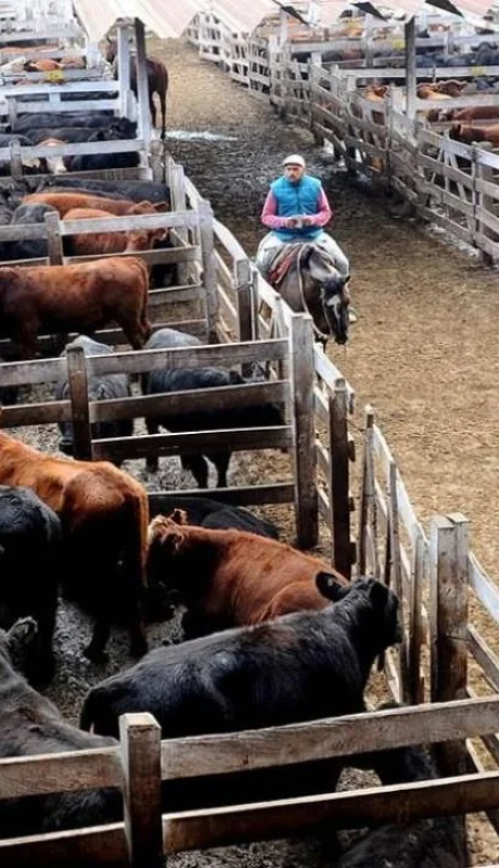 WhatsApp-Image-2021-11-18-at-18.24.48