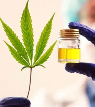 JA577ZD3C5FYDNPDPRZD6NFPME