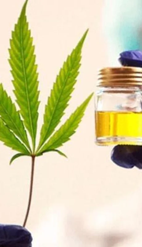 JA577ZD3C5FYDNPDPRZD6NFPME