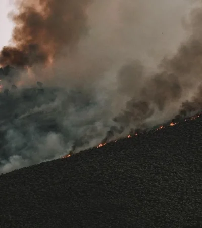 pexels-tim-mossholder-9398263