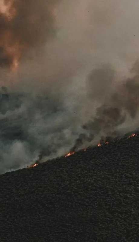 pexels-tim-mossholder-9398263