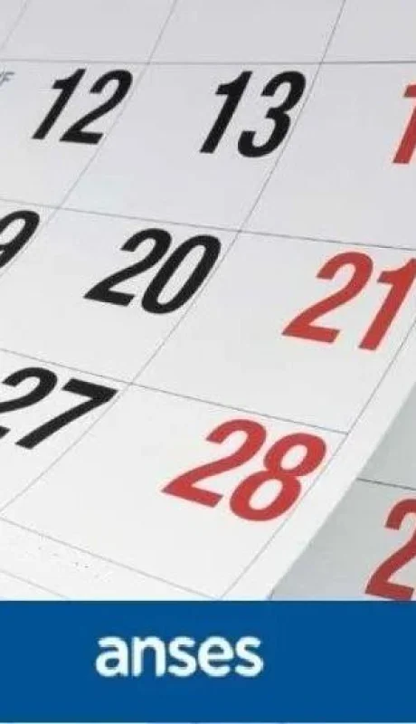cronograma-anses-enero