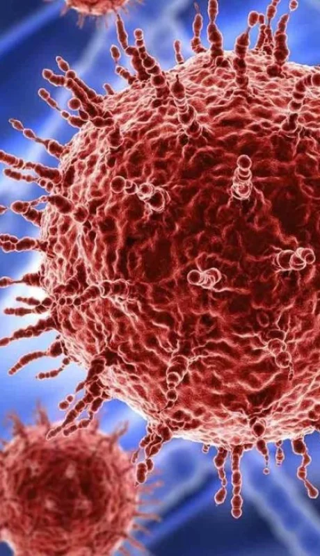 coronavirus-sudáfrica-variante-expertos