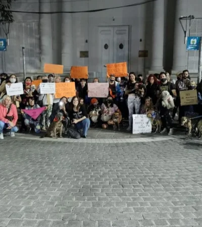 cbc7091f-b345-4929-adde-80a9c8aa7c22