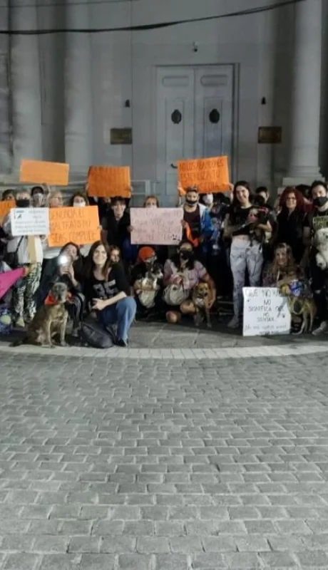 cbc7091f-b345-4929-adde-80a9c8aa7c22