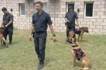 El rol de Samara, la perra que marcó dónde estaba enterrada Nancy Videla