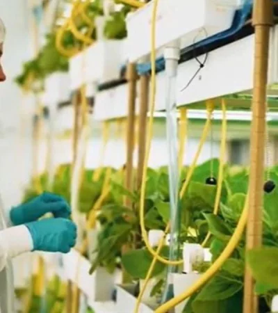 24c81c2d-debd-4393-9bb1-4dfdff89ec74_16-9-discover-aspect-ratio_default_0