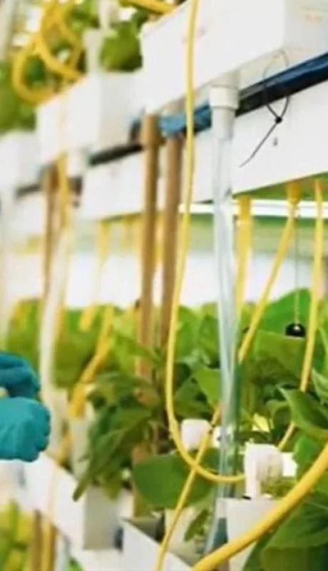 24c81c2d-debd-4393-9bb1-4dfdff89ec74_16-9-discover-aspect-ratio_default_0