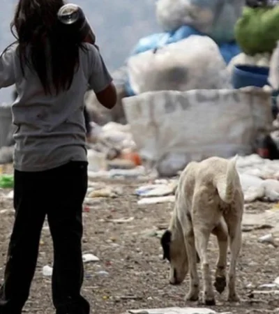 3044FE4D-2E72-4809-93D8-A7E1DD0D20DF