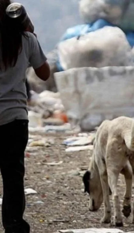 3044FE4D-2E72-4809-93D8-A7E1DD0D20DF