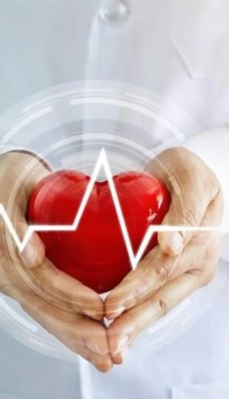 781B885E-66C9-4F2C-90E5-F9CC259E717D