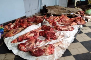 Valle de Uco: secuestran 350 kg de carne y detienen a 10 personas