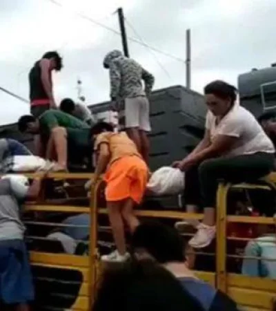 carne-vecinos-santiago-del-estero-tren-vacas