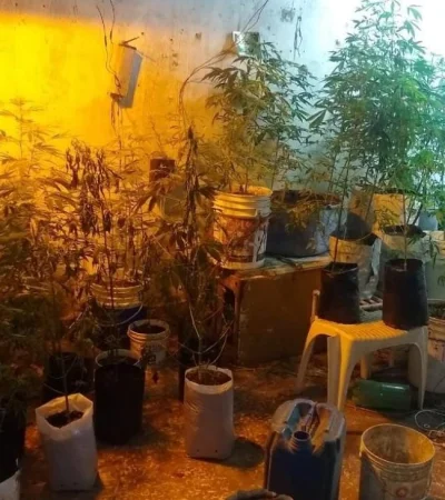 WhatsApp-Image-2021-12-07-at-2.24.58-PM