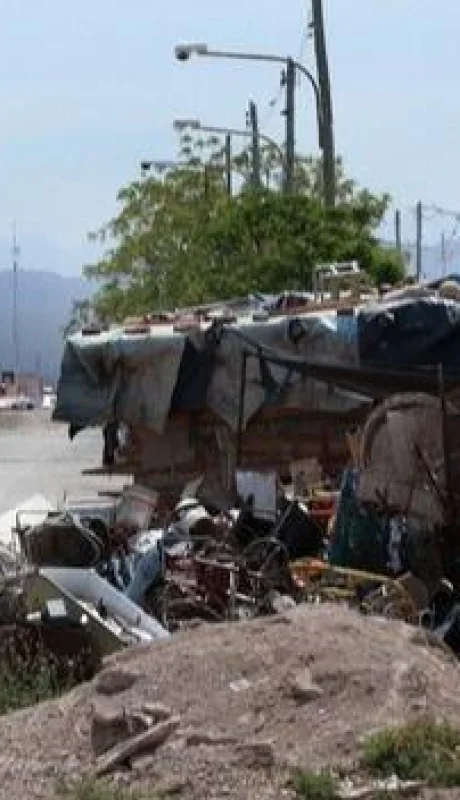 canasta-alimentaria-mendoza