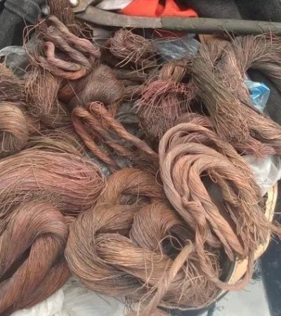 F102A5B1-2972-4B02-B64F-CEB639760184