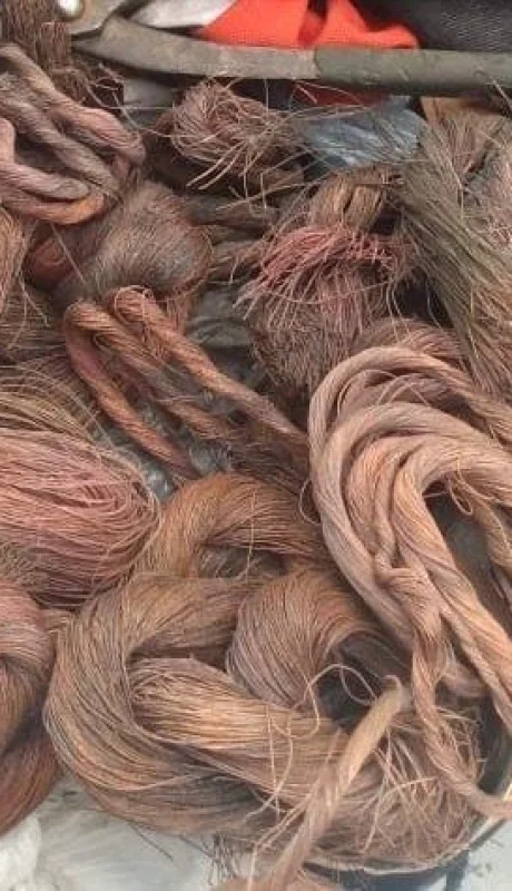 F102A5B1-2972-4B02-B64F-CEB639760184