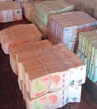 bf9c11fc-a96c-4955-bd93-a8a598de2c4c