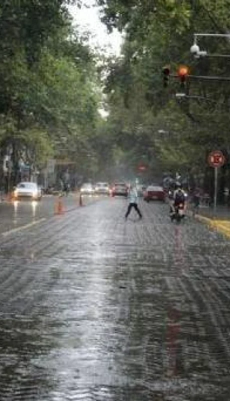 f608x342-524_30247_0