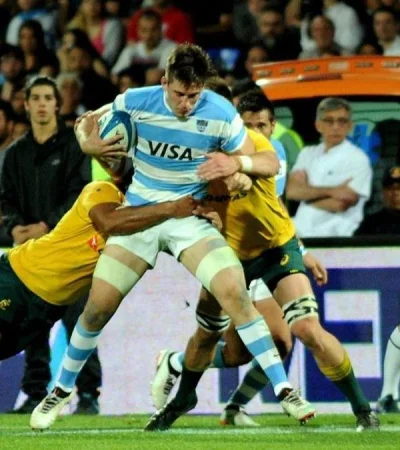 pumas-wallabies-mendoza-1jpg