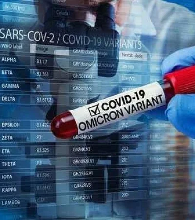 file-20211127-23-13709nq