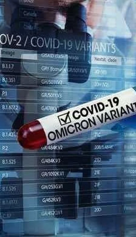 file-20211127-23-13709nq