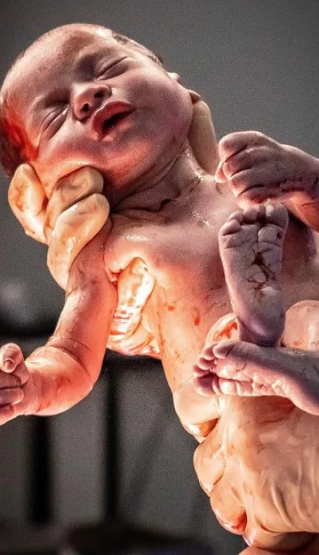 pexels-barbara-ribeiro-9747426