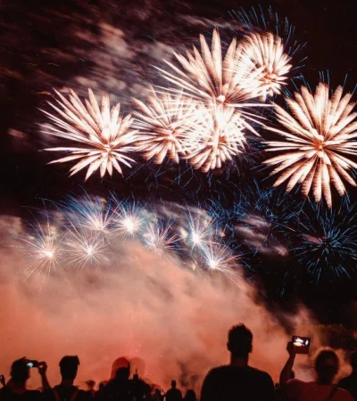 pexels-jonas-von-werne-2893330