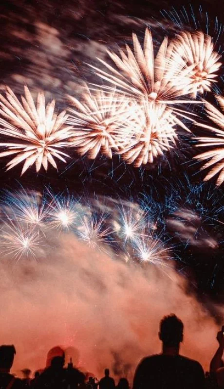 pexels-jonas-von-werne-2893330