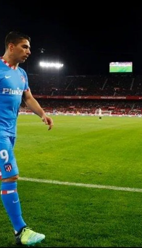 3F26A790-19AB-48B1-A20A-20FA9790604D