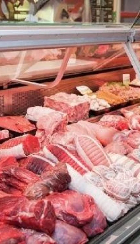 frigo_2_EC271836_MG807060