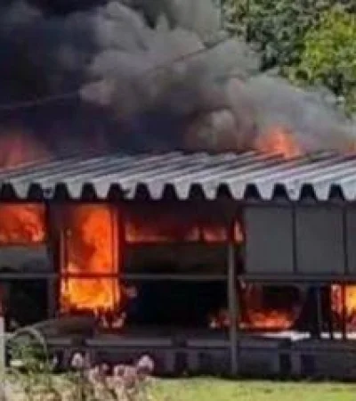 85854f4f-2228-44a8-ac62-a62f075d1d39