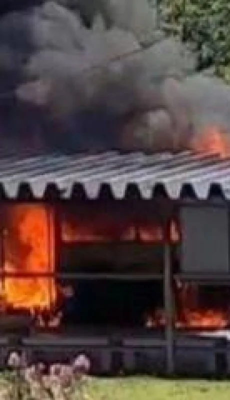 85854f4f-2228-44a8-ac62-a62f075d1d39