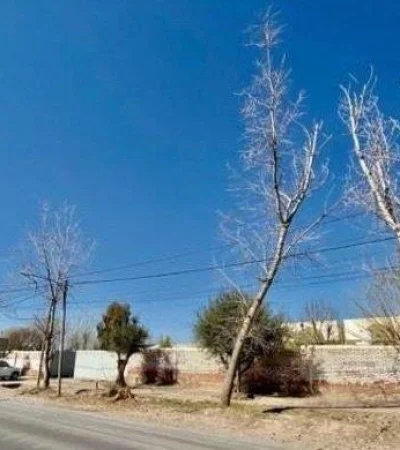 42FE8DFA-8208-4FE5-A67E-85155B320FF6