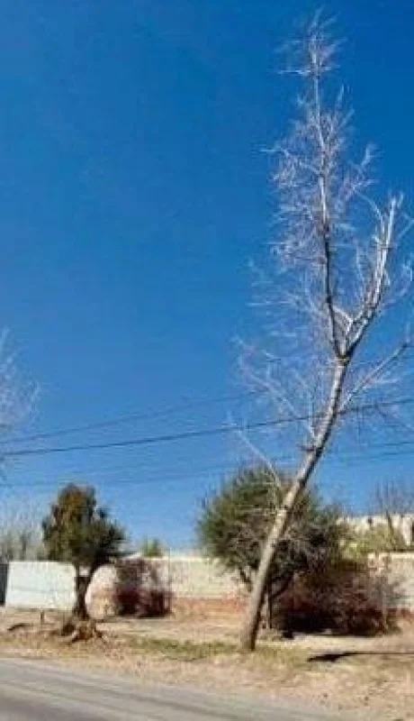 42FE8DFA-8208-4FE5-A67E-85155B320FF6