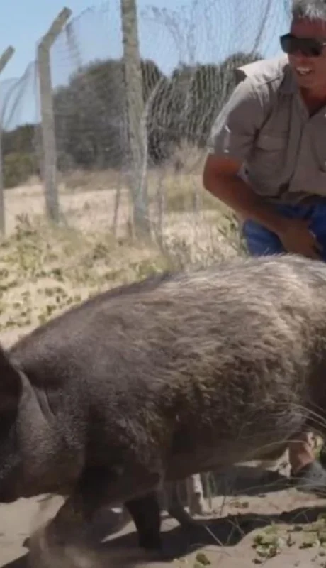 WhatsApp-Image-2022-01-17-at-12.22.44-PM