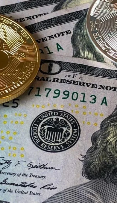 pexels-david-mcbee-730547